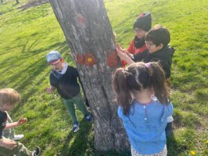 WhatsApp_Image_2025-04-05_a_07.16.02_c1144d93